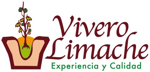 Vivero Limache