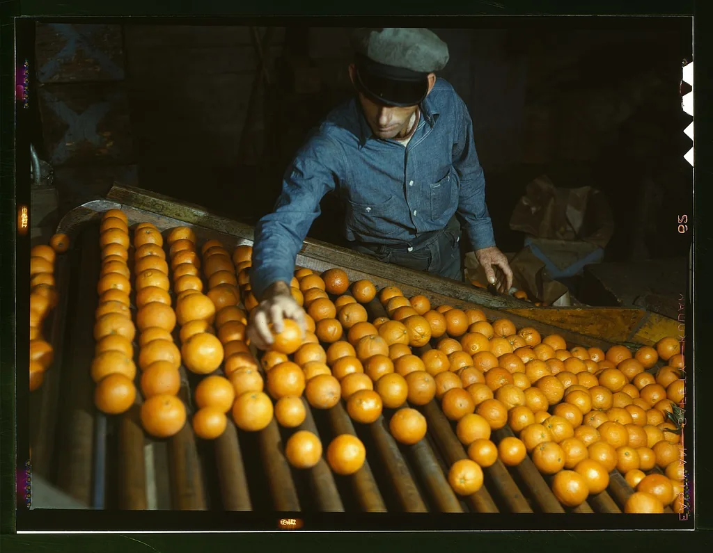 Exportadoras