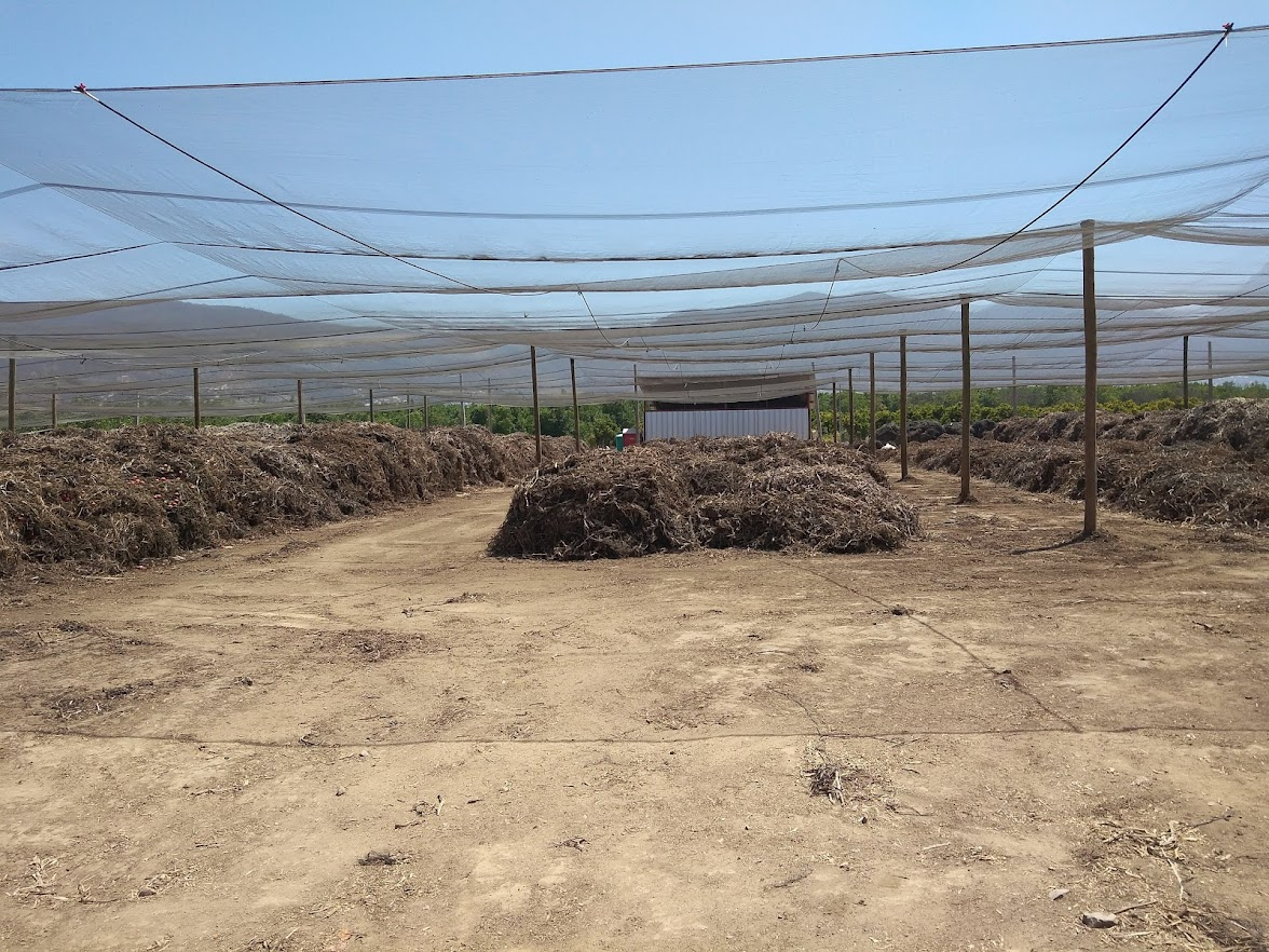Planta Limache